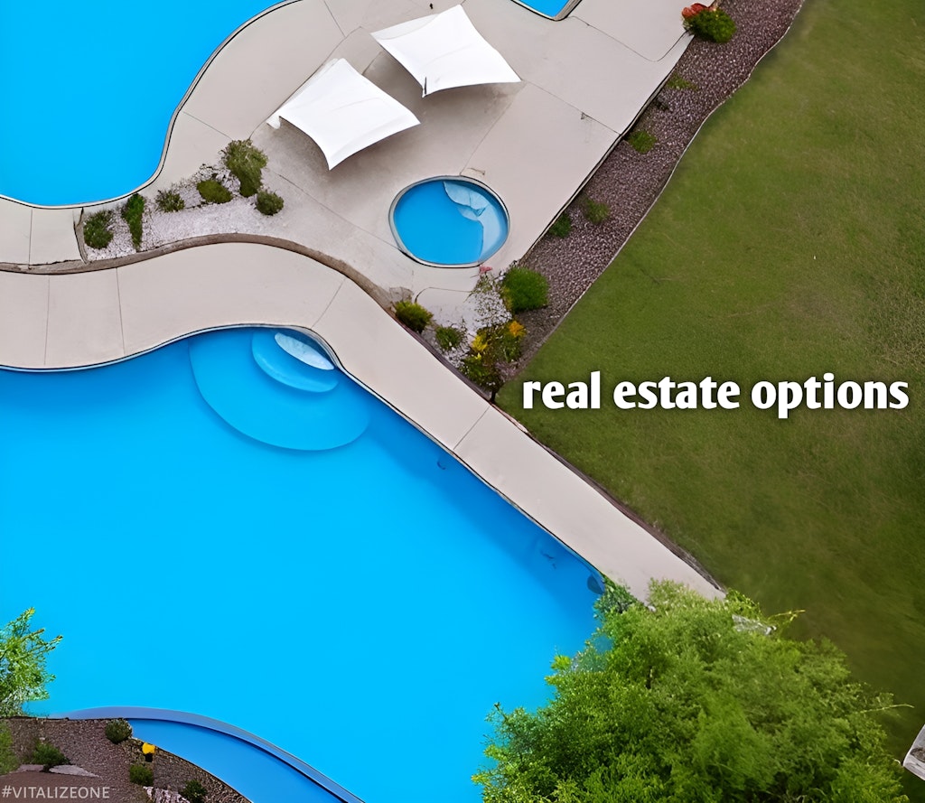 Three Options For Your Next Real Estate Investment, VitalyTennant.com #vitalizeone